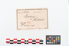 Etikett zu Bronzeknotenarmreif (NHMW-PRAE-025724)